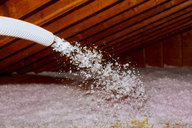 Best Professional Insulation Contractor  in Havre, MT