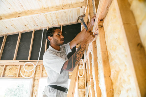 Best Insulation for New Construction  in Havre, MT